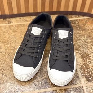 Pallaphoenix OG Canvas